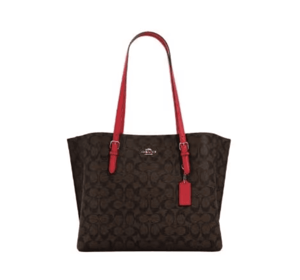 COACH Mollie Tote In Signature Canvas (ORIGINAL)