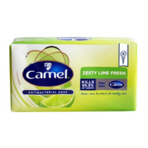 CAMEL ANTISEPTIC SOAP ALOE VERA 200G